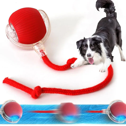  Automatic Rolling Ball 
